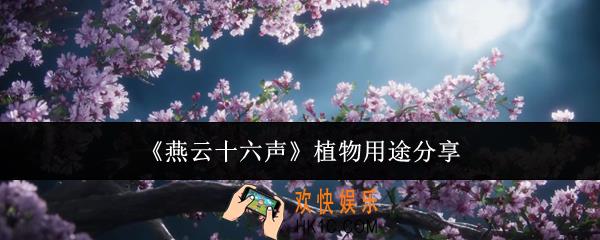 燕云十六声植物有什么用