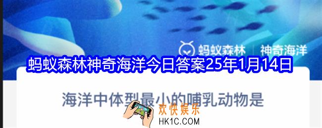 海洋中体型最小的哺乳动物是