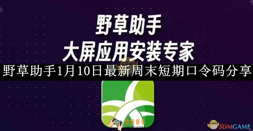 野草助手1月10日最新周末短期口令码分享2025
