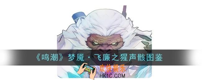 鸣潮梦魇·飞廉之猩声骸怎么样