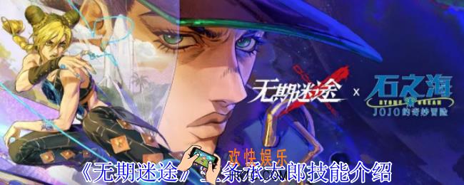 无期迷途空条承太郎有什么技能
