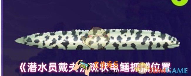 潜水员戴夫斑状电鳝在哪