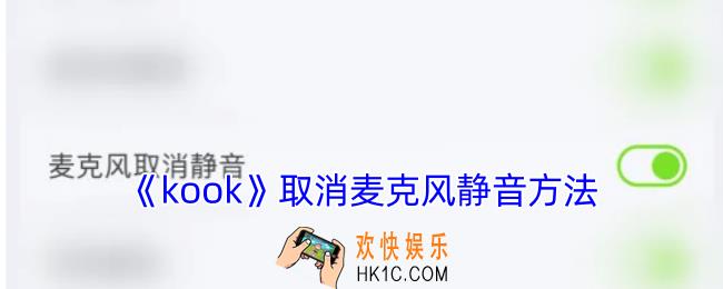 kook怎么取消麦克风静音