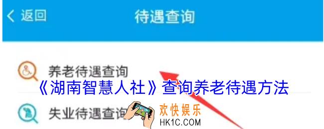 湖南智慧人社怎么查询养老金发放