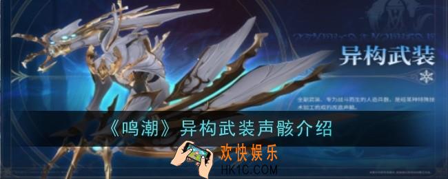 鸣潮异构武装声骸怎么样