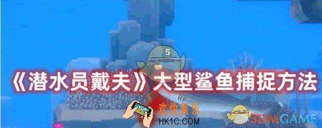 潜水员戴夫怎么捕捉大型鲨鱼