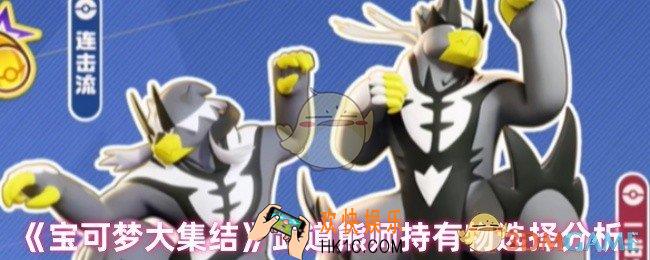 宝可梦武道熊师持有物怎么选