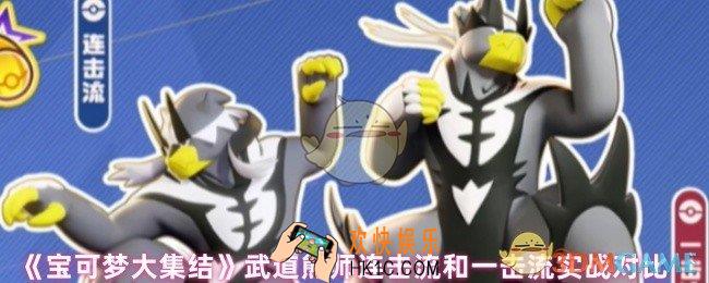 宝可梦武道熊师玩连击流还是一击流好