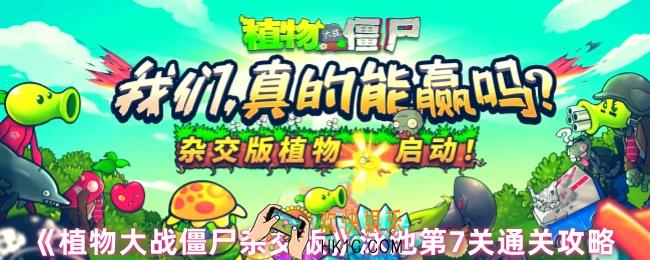 植物大战僵尸杂交版泳池第7关怎么过