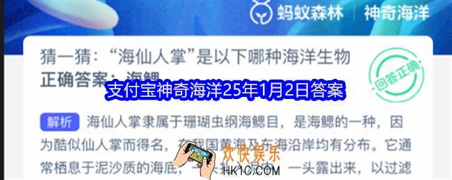 猜一猜海仙人掌是以下哪种海洋生物