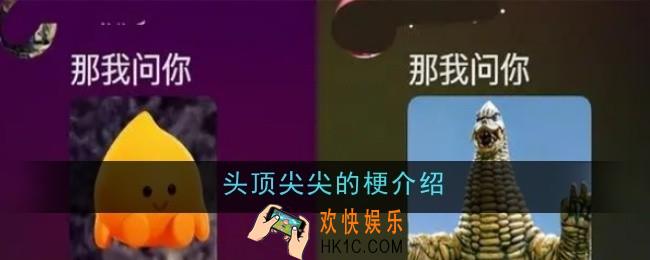 头顶尖尖的梗是什么