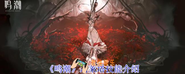 鸣潮珂莱塔有什么技能