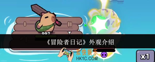 冒险者日记外观怎么样
