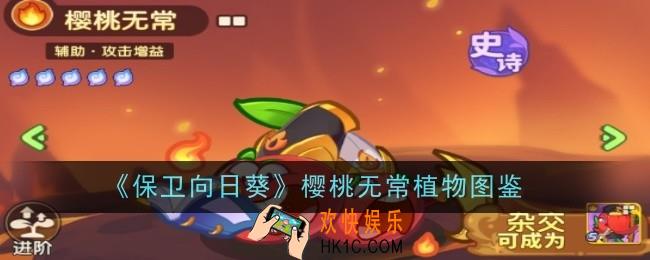 保卫向日葵樱桃无常植物怎么样