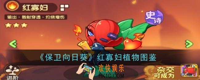 保卫向日葵红寡妇植物怎么样