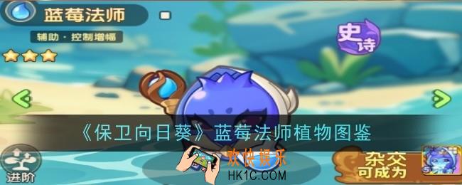 保卫向日葵蓝莓法师植物怎么样