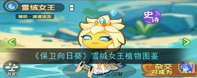 保卫向日葵雪绒女王植物怎么样