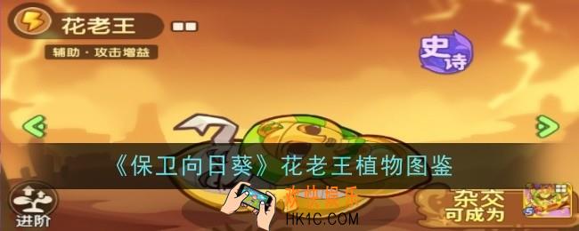 保卫向日葵花老王植物怎么样