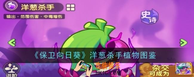 保卫向日葵洋葱杀手植物怎么样
