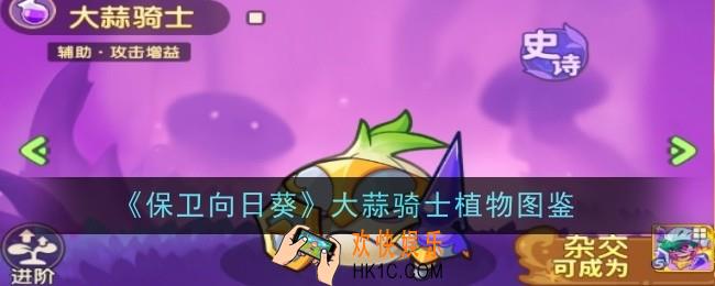 保卫向日葵大蒜骑士植物怎么样
