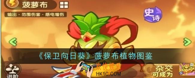 保卫向日葵菠萝布植物怎么样