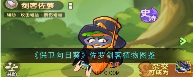 保卫向日葵佐罗剑客植物怎么样