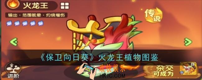 保卫向日葵火龙王植物怎么样
