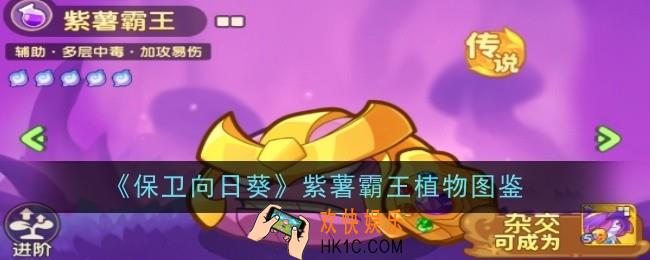 保卫向日葵紫薯霸王植物怎么样