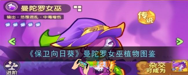 保卫向日葵曼陀罗女巫植物怎么样