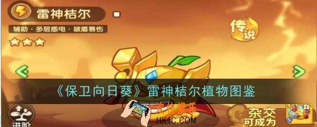 保卫向日葵雷神桔尔植物怎么样