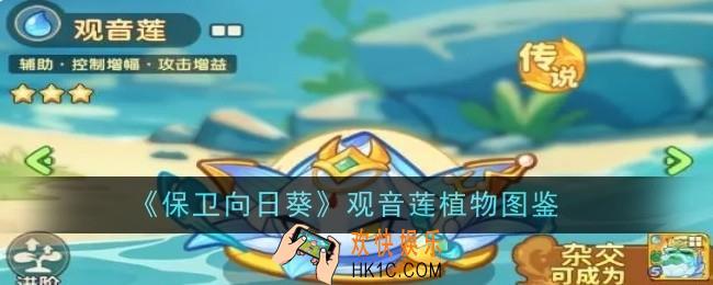 保卫向日葵观音莲植物怎么样