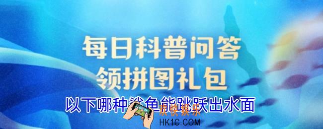 以下哪种鲨鱼能跳跃出水面