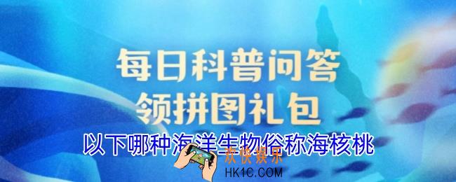 以下哪种海洋生物俗称海核桃