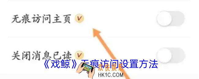 戏鲸怎么隐身访问