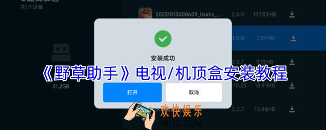 野草助手怎么安装到电视上