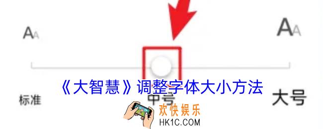 大智慧怎么调大字体