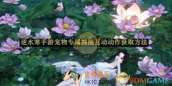 逆水寒手游宠物专属拥抱互动动作获取方法