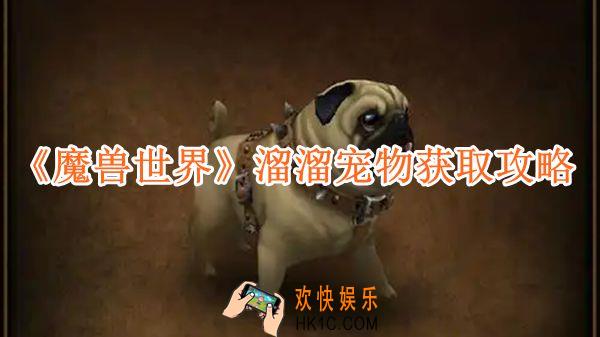 魔兽世界溜溜宠物获取攻略