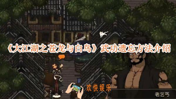 大江湖之苍龙与白鸟武功遗忘方法介绍