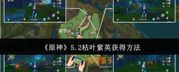原神5.2枯叶紫英怎么获得