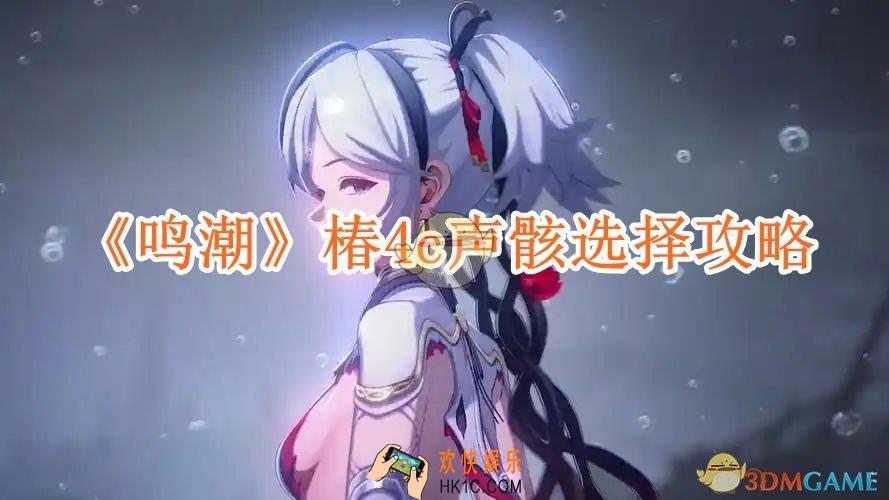 鸣潮椿4c声骸选择攻略