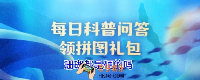 珊瑚都是硬的吗