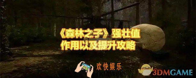 森林之子强壮值怎么提升
