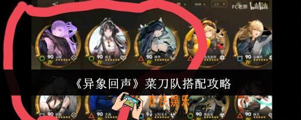 异象回声菜刀队怎么搭配