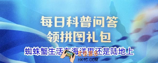 蜘蛛蟹生活在海洋里还是陆地上