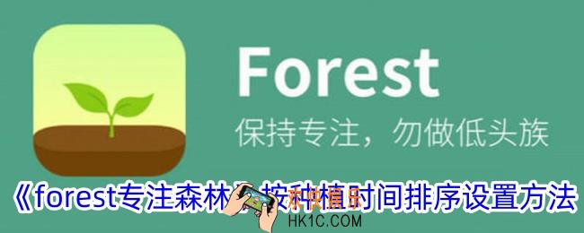 forest专注森林怎么按种植时间排序