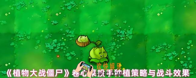 植物大战僵尸卷心菜有什么用