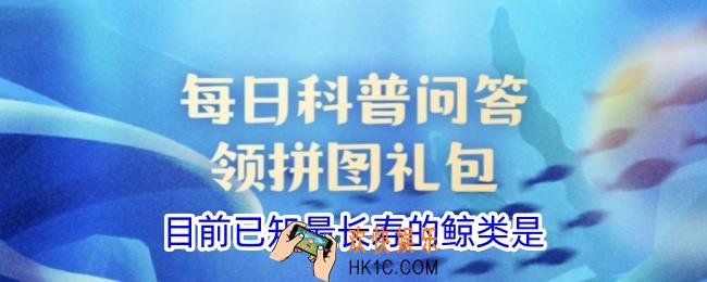 目前已知最长寿的鲸类是