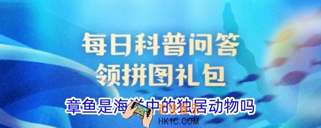章鱼是海洋中的独居动物吗