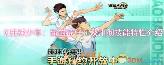 排球少年：新的征程及川彻怎么搭配